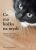 Co má kočka na mysli - Brigitte Rauth–Widmannová