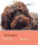 Cockapoo - Dog Expert - 