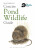 Concise Pond Wildlife Guide - Bloomsbury