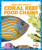 Coral Reef Food Chains - Rebecca Pettiford