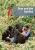 Dominoes Second Edition Level 3 - Dian and the Gorillas + MultiRom Pack - Norma Shapiro