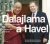 Dalajlama a Havel - Kateřina Procházková,Kateřina Jacques Bursíková