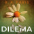 Dilema - B. A. Paris