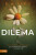 Dilema - B.A. Paris