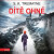 Dítě ohně - S. K.  Tremayne