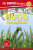 DK Super Readers Level 1 Bugs Hide and Seek - DK