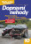 Dopravní nehody - Tomáš Beran