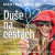 Duše na cestách - Martina Merisi