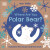 Eco Baby Where Are You Polar Bear? - DK