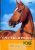 Encyklopedie koně - J. Hermsenová