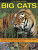 Exploring Nature: Big Cats - Rhonda Klevansky
