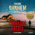Poslední hřebík - Stefan Ahnhem