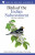 Field Guide to Birds of the Indian Subcontinent - Carol Inskipp,Tim Inskipp,Richard Grimmett