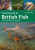 Field Guide to British Fish - Jack Perks