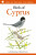 Field Guide to the Birds of Cyprus - Richard Porter,Colin Richardson