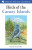 Field Guide to the Birds of the Canary Islands - Eduardo Garcia-del-Rey