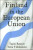 Finland in the European Union - Tapio Raunio,Teija Tiilikainen