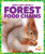 Forest Food Chains - Rebecca Pettiford