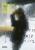 Forever Saul Leiter - Saul Leiter,Margit Erb,Michael Parillo,Akiko Otake