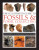 Fossils & Fossil Collecting, The Illustrated Guide to - Steve Parker