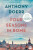 Four Seasons in Rome - Anthony Doerr