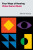 Four Ways of Hearing Video Game Music - Michiel  Kamp