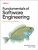 Fundamentals of Software Engineering - Dan Vega,Nathaniel Schutta