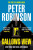 Gallows View - Peter Robinson