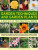 Garden Techniques and Garden Plants - Jonathan Edwards
