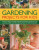 Gardening Projects for Kids - Hendy Jenny