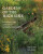 Gardens of the High Line - Oudolf Piet,Rick Darke