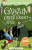 Gawain and the Green Knight (Easy Classics) - Tracey Mayhew