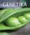 Genetika - D.Peter Snustad,Michael J. Simmons