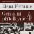 Geniální přítelkyně IV. - Elena Ferrante