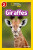 Giraffes - Laura Marsh,National National Geographic Kids