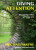 Giving Attention - Michael Mayne