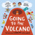 Going to the Volcano - Andy Stanton