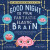 Good Night to Your Fantastic Elastic Brain - JoAnn Deak,Terrence Deak