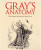 Grays Anatomy - Henry Gray