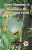 Green Mansions a Romance of the Tropical Forest - W.H. Hudson