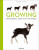 Growing - Marlonneke Willemsen