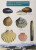 Guide to the Common Seashells of Britain and Ireland - Chris Field Studies Council