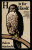 H is for Hawk - Helen Macdonald