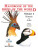 Handbook of the Birds of the World. Vol.3 - 