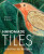 Handmade Tiles - Marion Brandis