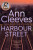 Harbour Street - Ann Cleevesová