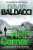 Hell's Corner - David Baldacci