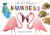 Hello Hello Numbers - 