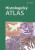 Histologický atlas - Zdeněk Vacek,Jindřich Martínek