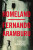 Homeland - Aramburu Fernando
